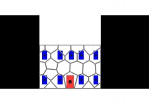 Voroinoi 3