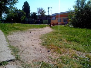 IMG_20140606_100950