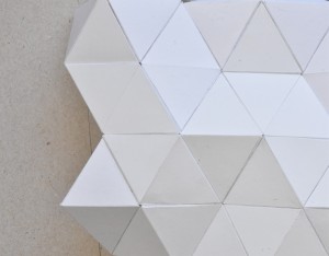 DSC_0482 (2)