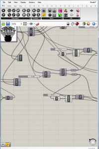 zebraa2
