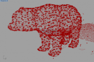 56806466_400381634027233_6871677859459497984_n