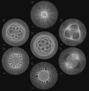 d56bc291f5097fc4e693014bd5f35ed6