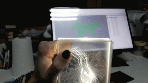 ezgif.com-video-to-gif