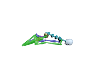 tr po