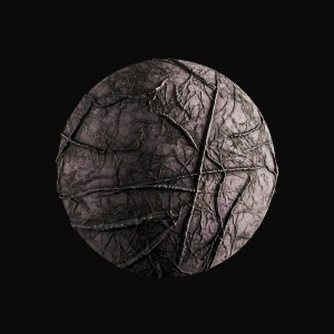 Roots_render_PS