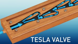 Teslin ventil sa pravcem usporenog kretanja