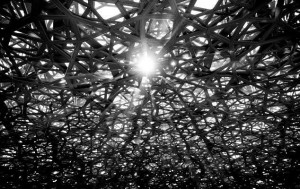 louvre_abu_dhabi_c_abu_dhabi_tourism_culture_authority_photography_sarah_al_agroobi_recut