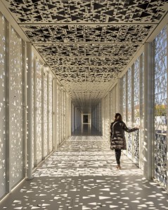 Gallery of Megalithic Museum _ CVDB arquitectos + Tiago Filipe Santos + P-06 Atelier  - 2