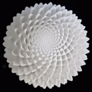Animorphs-3D-printed-illusions-on-Instructables_dezeen_sq02