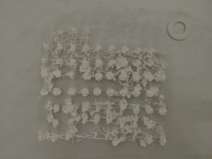 IMG_20240713_095002