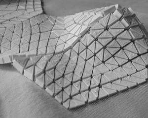 IMG-20240904-WA0007