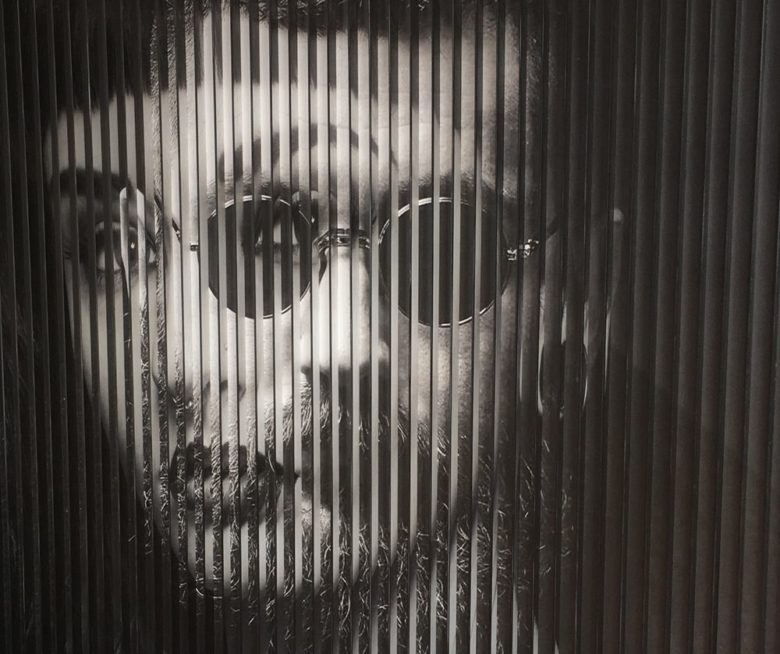 FAZA I- Modelovanje I vizualizacija lentikularnog printa – holografskih slika