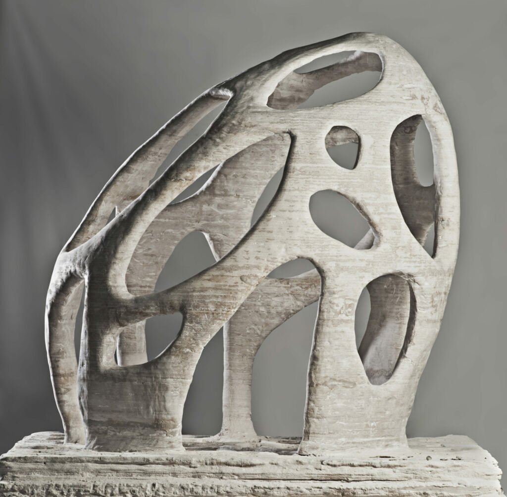 Radiolaria Pavilion: Biomimetička mrežasta sfera – istraživački okvir