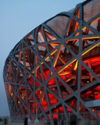 Biomimikrija u modelovanju mrežnih konstrukcija