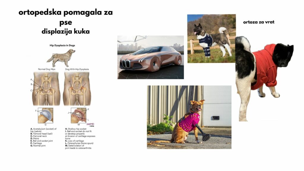 Modelovanje ortopedskog pomagala za pse